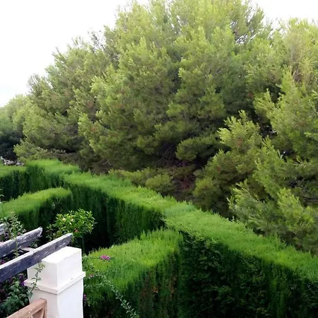 Los Olivos Sierra Cortina Holiday home *